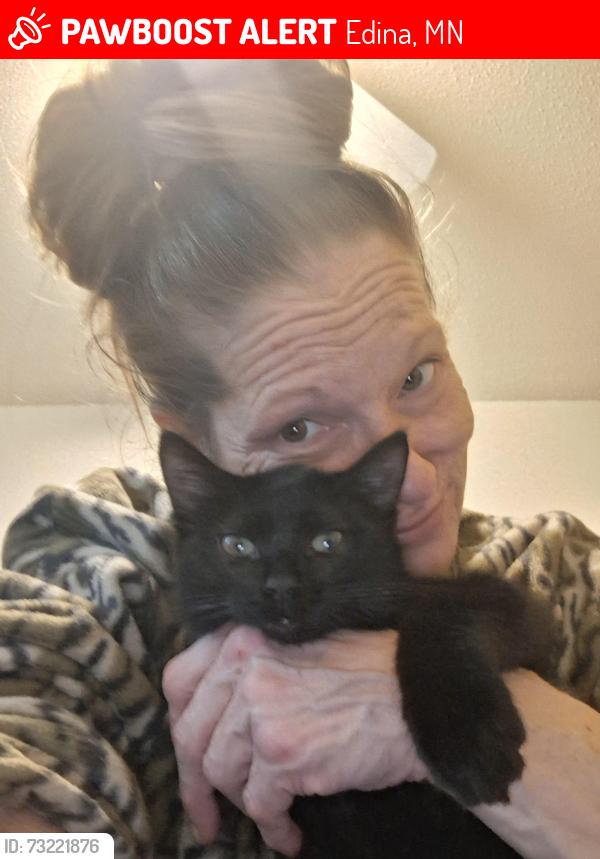 Lost Female Cat last seen 70th York ave south by Cub foods, Edina, MN 55435