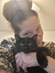 Lost Female Cat last seen 70th York ave south by Cub foods, Edina, MN 55435