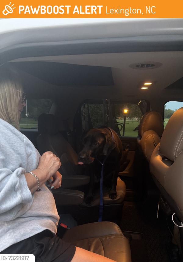 Found/Stray Female Dog last seen before rhe bridge headed toward west center st, Lexington, NC 27295