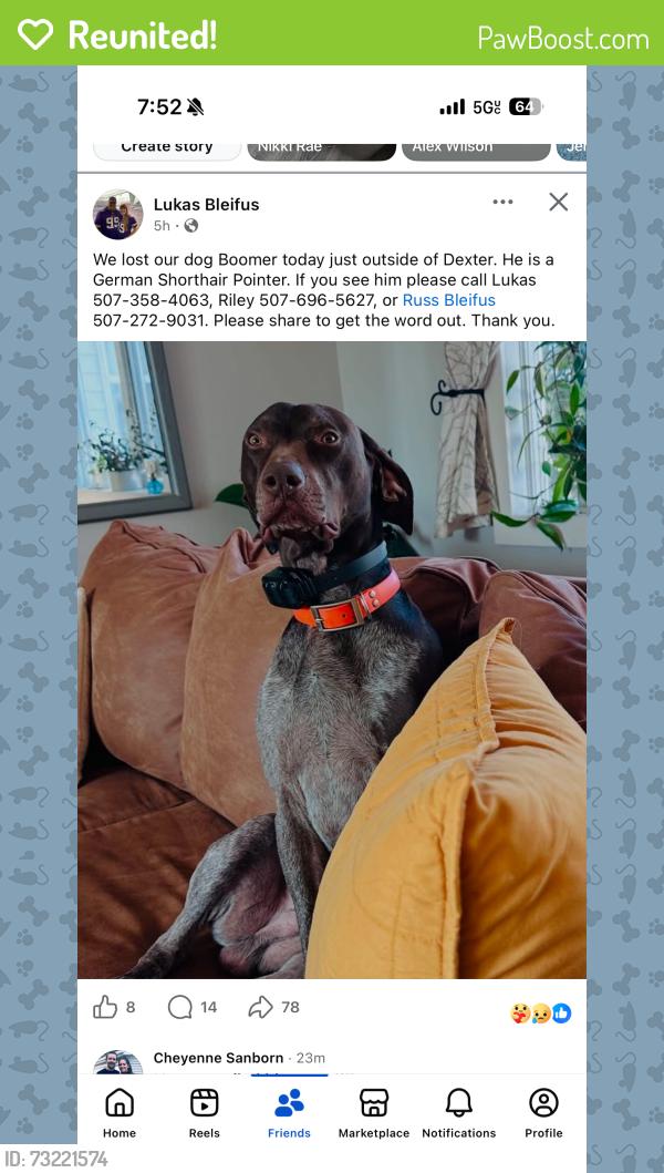 Reunited Male Dog last seen Dexter MN, Dexter, MN 55926