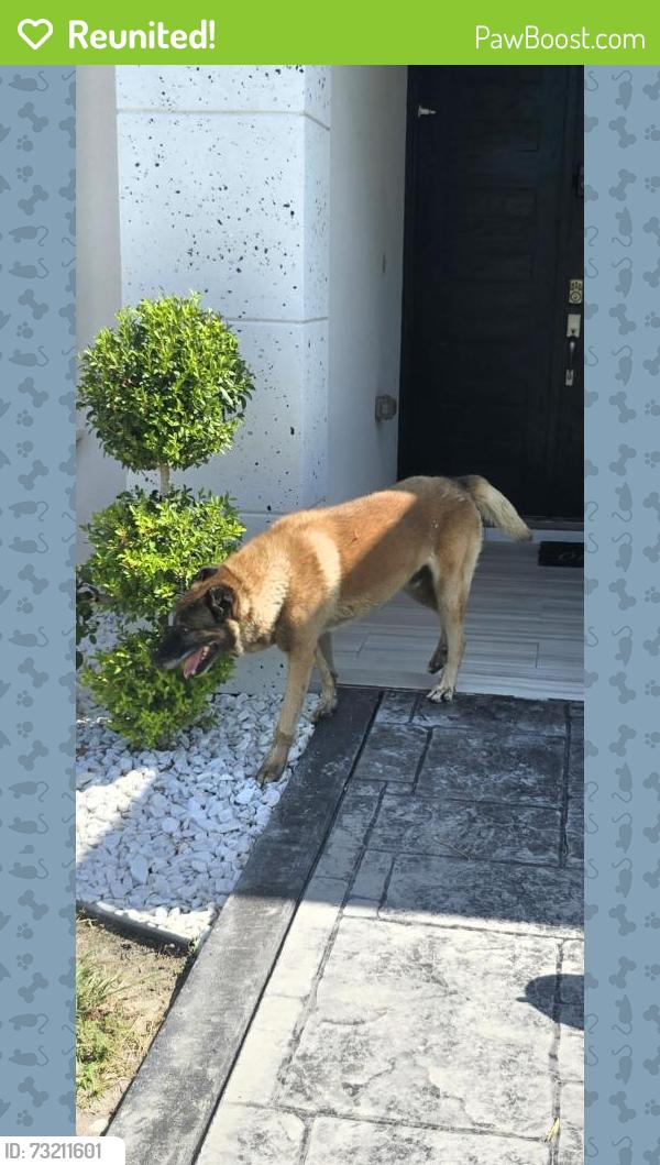 Reunited Unknown Dog last seen Sugar and Owasa, Pharr, TX 78577