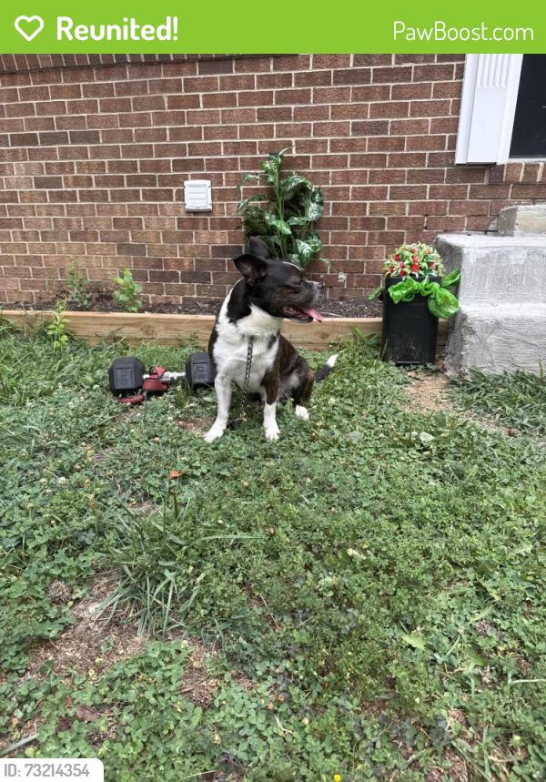 Reunited Male Dog last seen Oxon Run dr, Hillcrest Heights, MD 20748