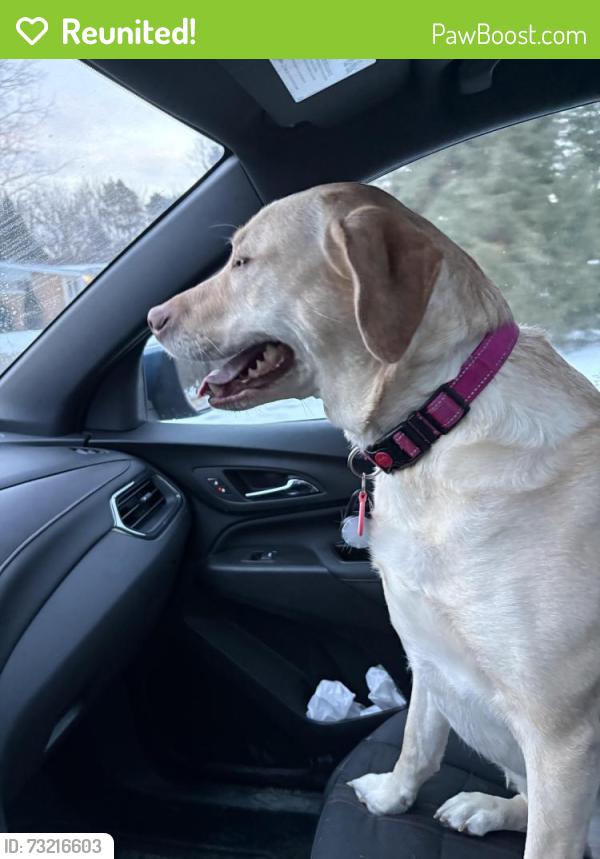 Reunited Female Dog last seen Sherwood/Wooley, Oxford, MI 48371