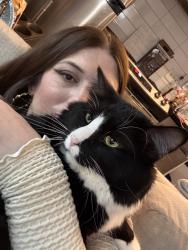 Lost Male Cat last seen Rosedale park, 47th, Puckett rd., Kansas City, KS 66103