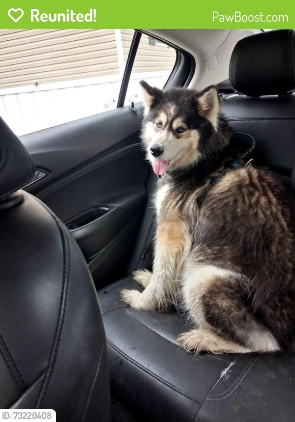 Reunited Unknown Dog last seen Corbin, Jacksonville, NC 28546