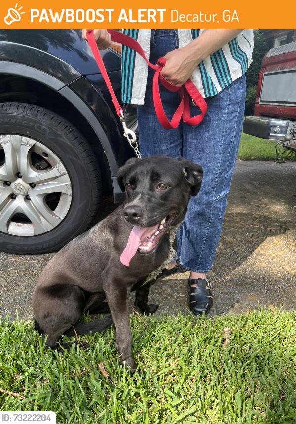 Found/Stray Female Dog last seen Columbia, Decatur, GA 30030