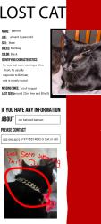 Lost Male Cat last seen SE 22nd Ave Ellis St, Portland, OR 97202