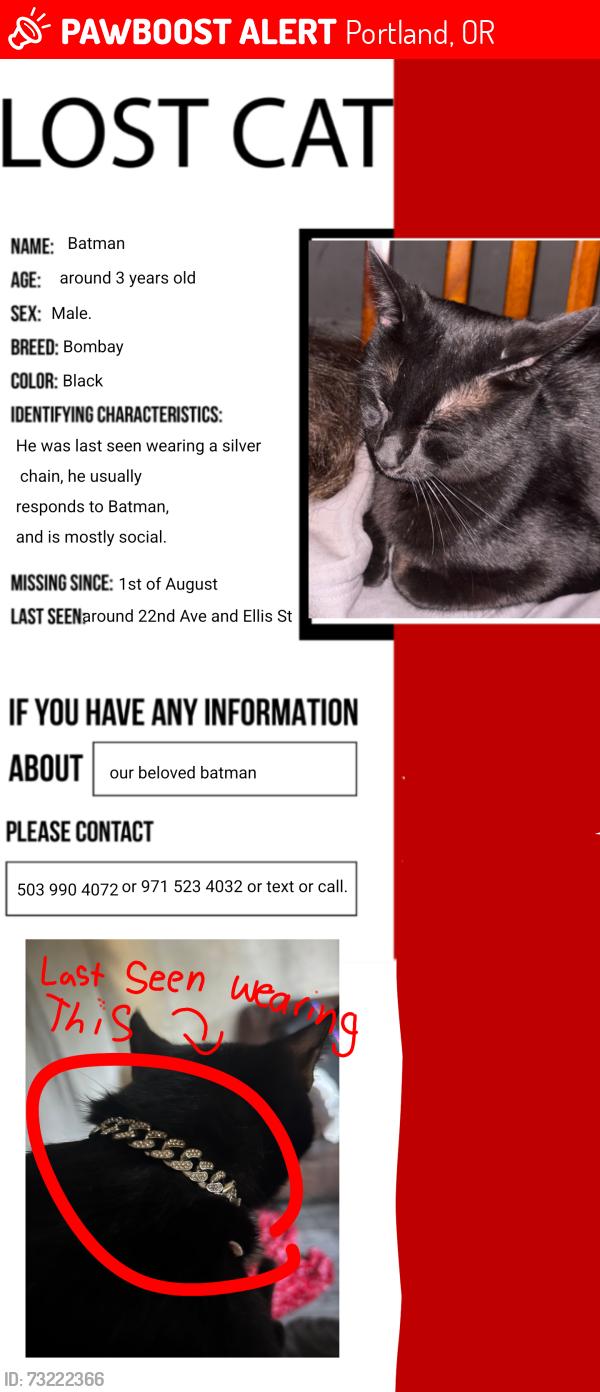 Lost Male Cat last seen SE 22nd Ave Ellis St, Portland, OR 97202