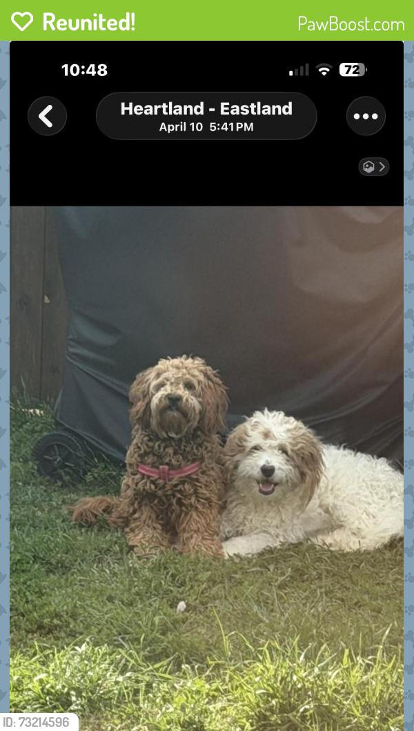 Reunited Male Dog last seen Eastland subdivision, Crandall, TX 75114