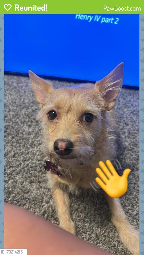 Reunited Female Dog last seen at salinas park, Odessa, TX 79761