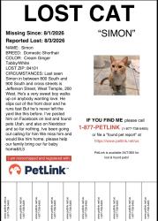 Lost Male Cat last seen Near West, Jefferson Street, West Temple, 800 South and 900 South, Salt Lake City, UT 84101