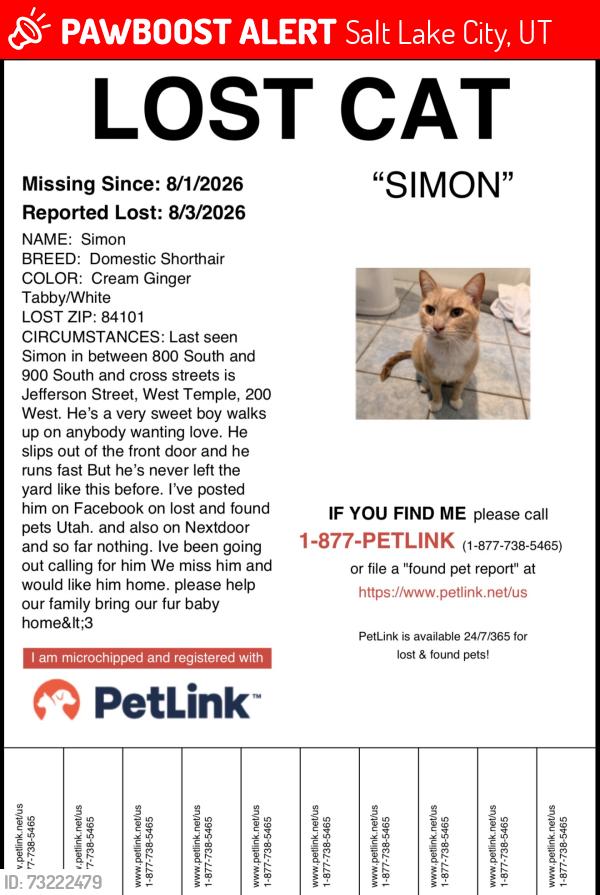 Lost Male Cat last seen Near West, Jefferson Street, West Temple, 800 South and 900 South, Salt Lake City, UT 84101