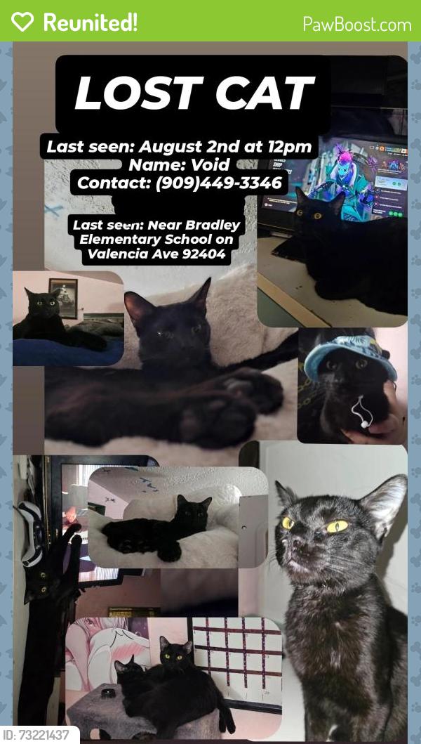Reunited Male Cat last seen Near Valencia Ave, San Bernardino, CA 92404, USA, San Bernardino, CA 92404