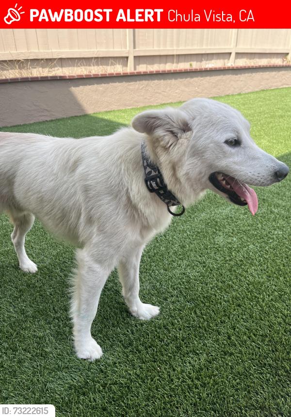 Lost Male Dog last seen Near Morgan hill dr, Chula Vista, CA 91913