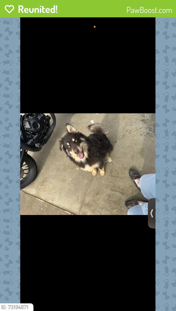 Reunited Male Dog last seen Wax rd, Silver Creek, GA 30173