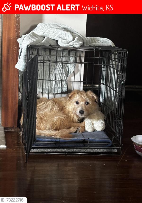 Lost Male Dog last seen Oliver and Kellogg, Wichita, KS 67218