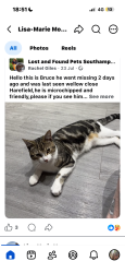 Lost Male Cat last seen Harefield, Harefield, England 