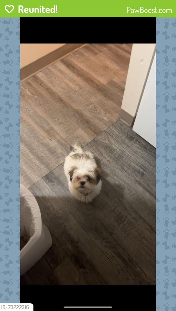 Reunited Female Dog last seen NW John Jones Dr, Burleson, TX 76028