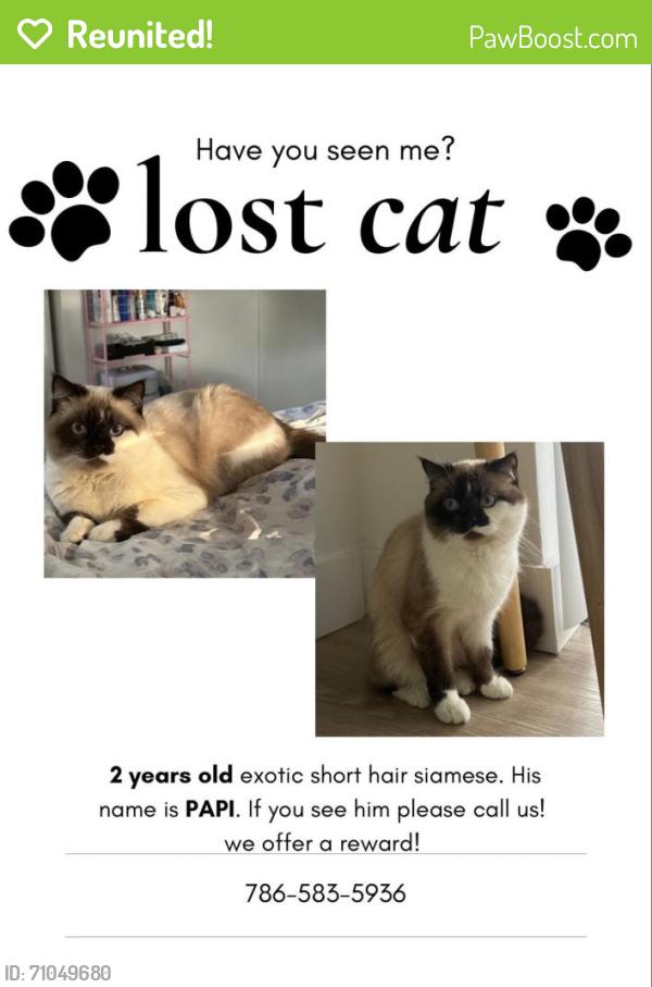 Reunited Male Cat last seen Near av 88 St west kendall, Miami, FL 33186