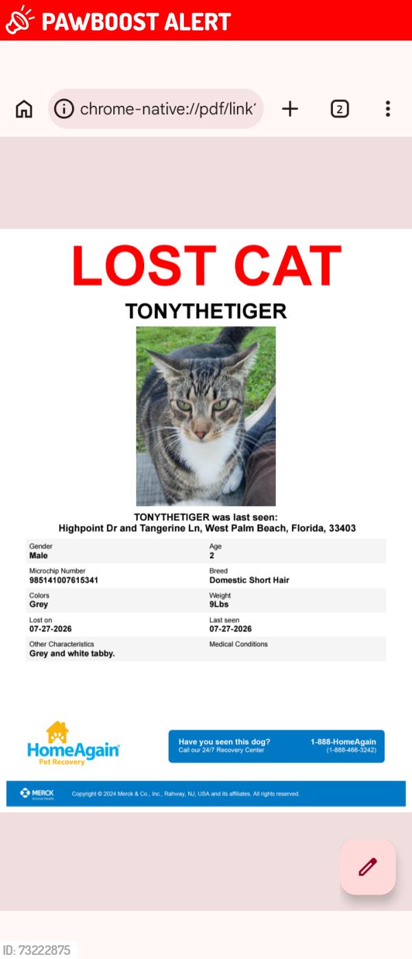 Lost Male Cat last seen Tangerine Lane, West Palm Beach, FL 33403