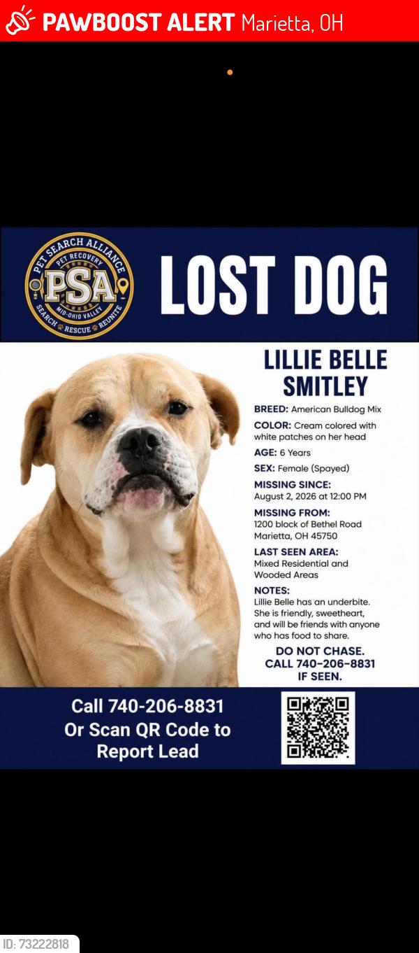 Lost Female Dog last seen Bethel Road and Silver Globe Road, Marietta, OH 45750