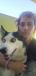 Lost Male Dog last seen 3rd st and la cienega st, Los Angeles, CA 90048