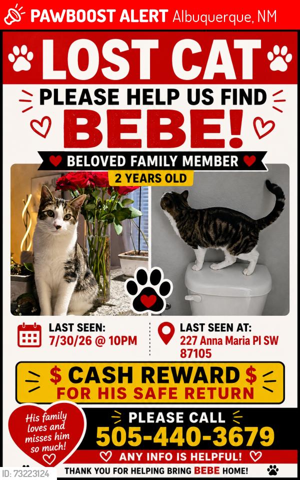 Lost Male Cat last seen Central & Sunset near bosque, Albuquerque, NM 87105