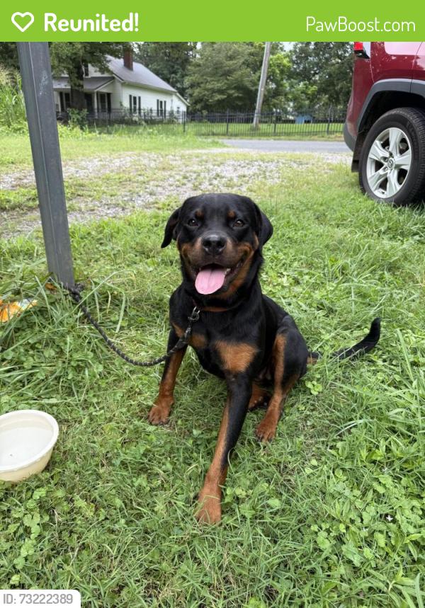Reunited Female Dog last seen Lippard Farm Rd and Hwy 64, Iredell County, NC 28625
