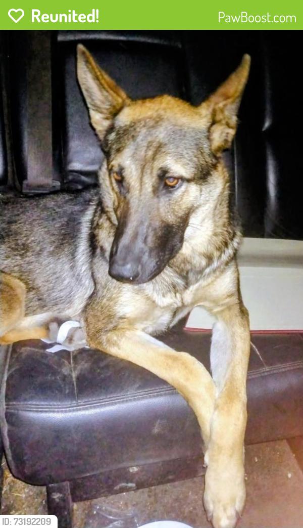 Reunited Female Dog last seen Tabor lane, Covelo, CA 95428
