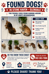 Found/Stray Male Dog last seen StoneHaven community, Glendale, AZ 85305