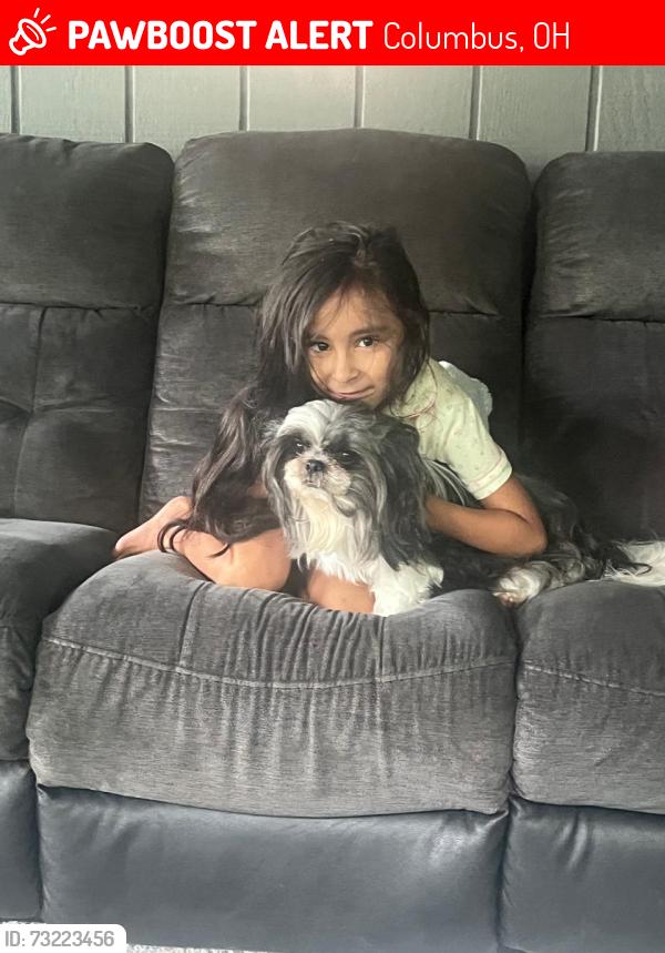 Lost Male Dog last seen Near Karl Rd, Columbus, OH 43229, Columbus, OH 43229