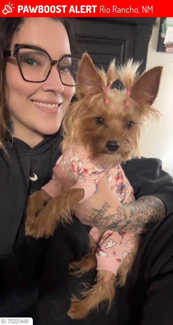 Lost Female Dog last seen Near coral Dr NE, Rio Rancho, NM 87124