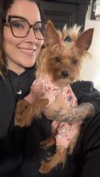 Lost Female Dog last seen Near coral Dr NE, Rio Rancho, NM 87124