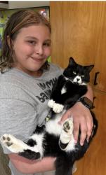 Lost Male Cat last seen 15th, Bend, OR 97702