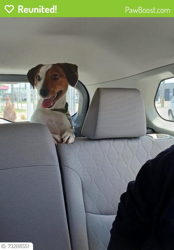Reunited Male Dog last seen Willowick, Eastlake, Lake County, Willowick, OH 44095