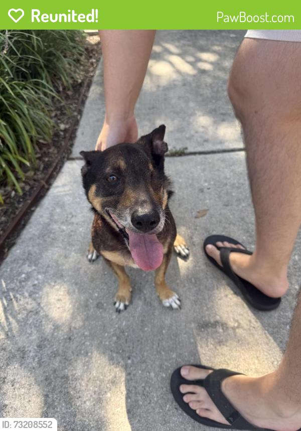 Reunited Male Dog last seen Auburn Ridge neighborhood by UTSA, San Antonio, TX 78249