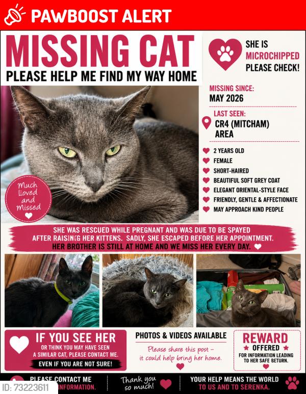 Lost Female Cat last seen CR4, Greater London, England CR4