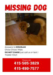 Lost Male Dog last seen Richmond CA, Richmond, CA 94808