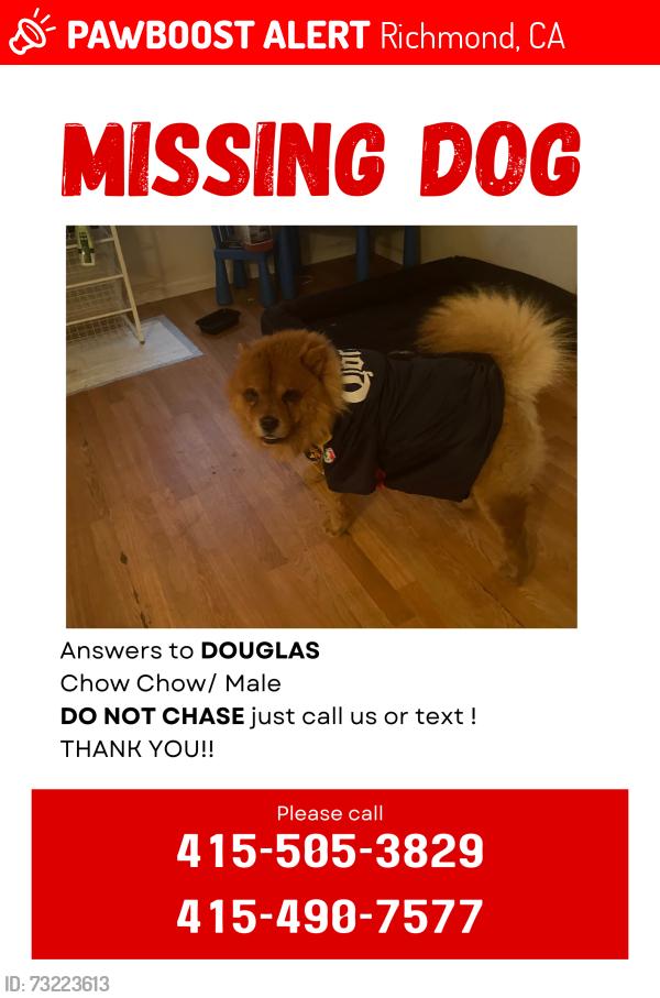 Lost Male Dog last seen Richmond CA, Richmond, CA 94808