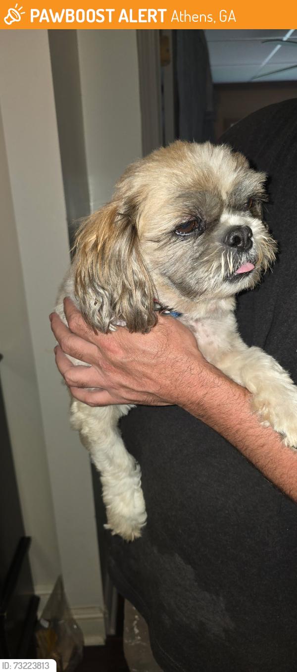 Found/Stray Male Dog last seen Tucker iron works, Athens, GA 30606