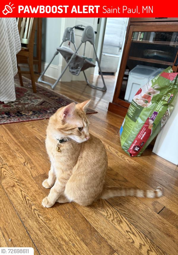 Lost Male Cat last seen Linwood and Grotto, Saint Paul, MN 55105