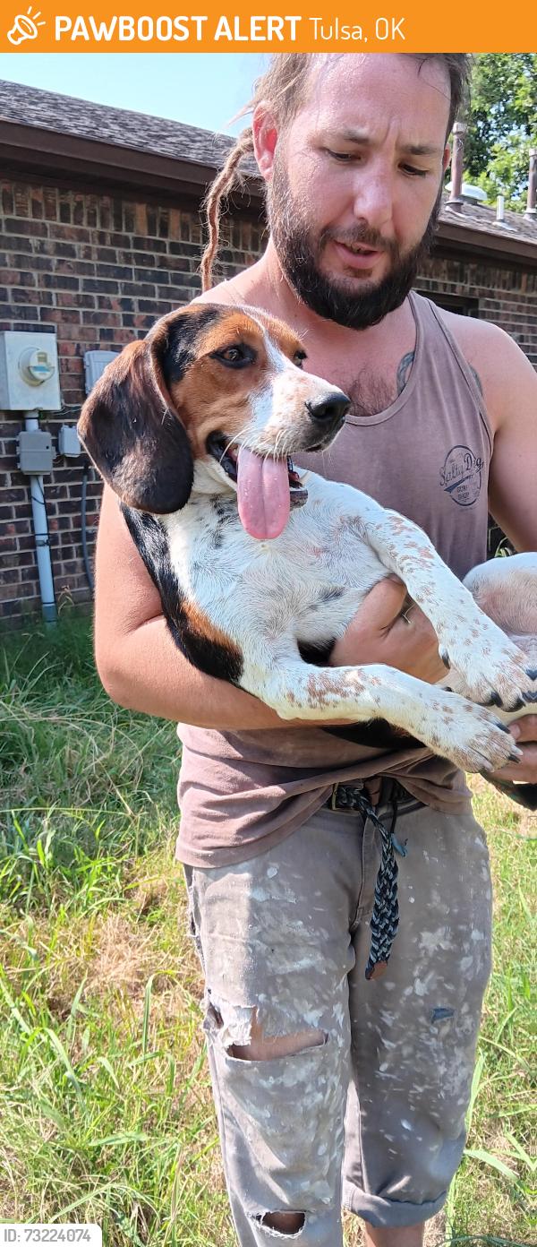 Found/Stray Male Dog last seen 14th and S. 83rd E. Ave Tulsa Ok 74112, Tulsa, OK 74112