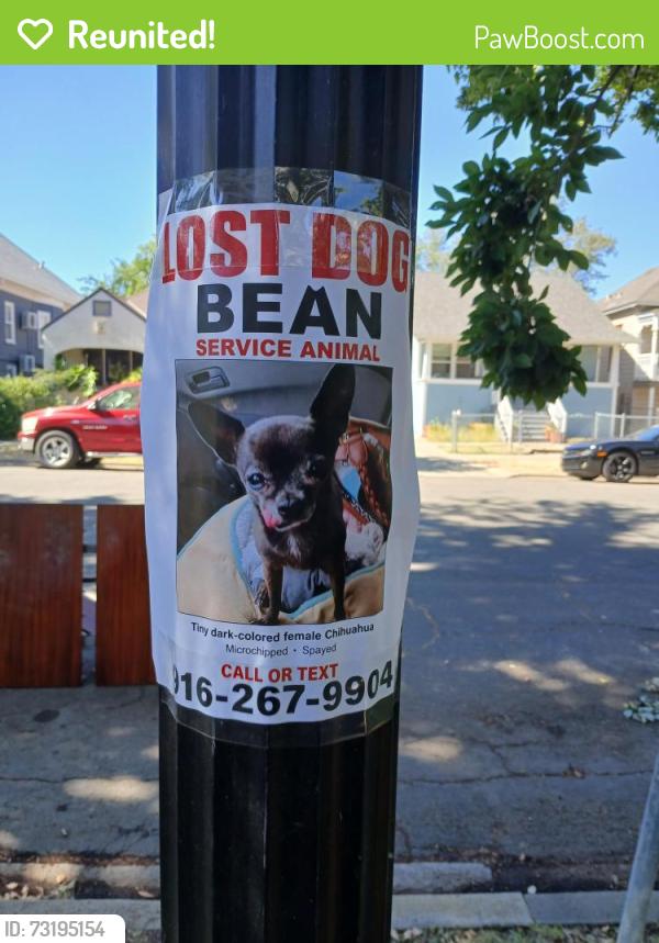 Reunited Male Dog last seen 36th and 1st Ave, Sacramento, CA 95817