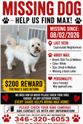 Lost Male Dog last seen Near Navajo trail dr. Spring, Tx., Harris County, TX 77388
