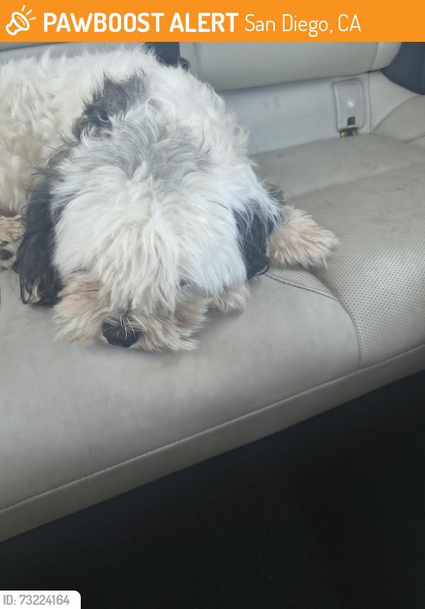 Found/Stray Male Dog last seen Redwood 54th, San Diego, CA 92103