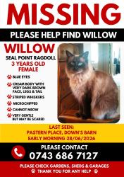 Lost Female Cat last seen Milton Keynes, Downs Barn, England MK14 7RB