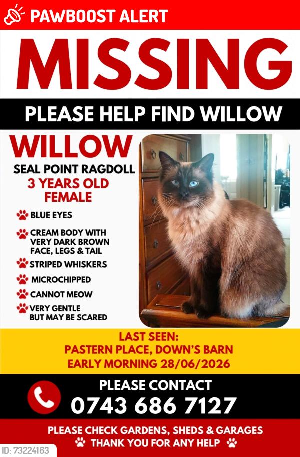 Lost Female Cat last seen Milton Keynes, Downs Barn, England MK14 7RB