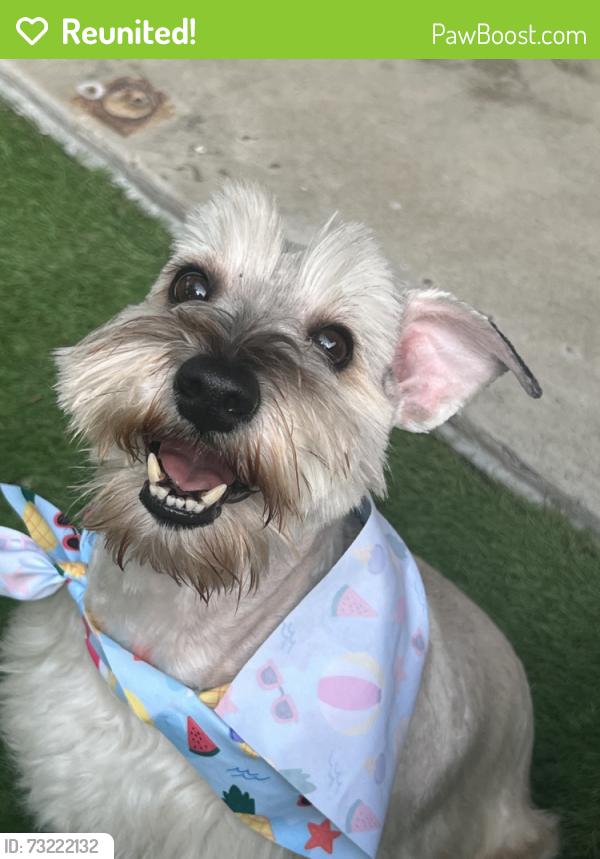 Reunited Male Dog last seen Rushing Blvd & Hearn Road, Corpus Christi, TX 78410