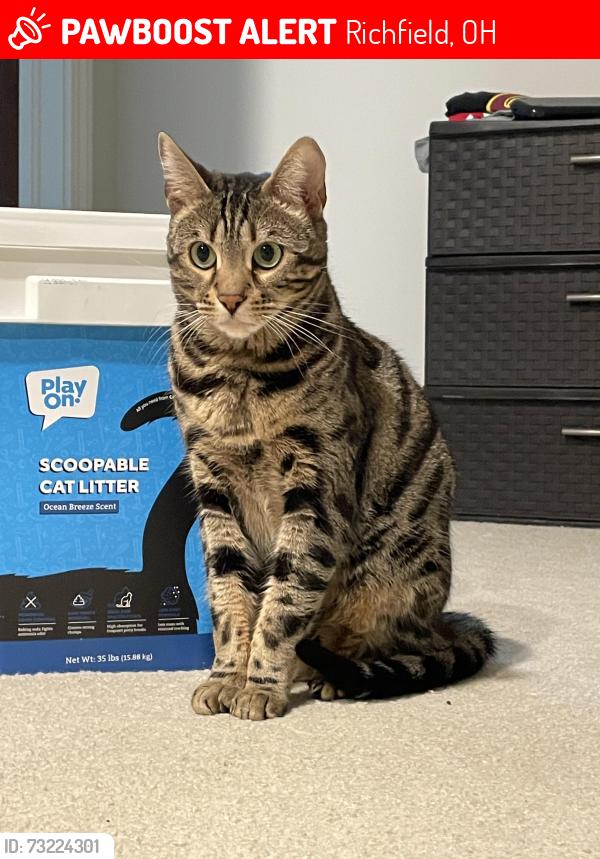 Lost Female Cat last seen Glencairn Forest, Richfield, OH 44286