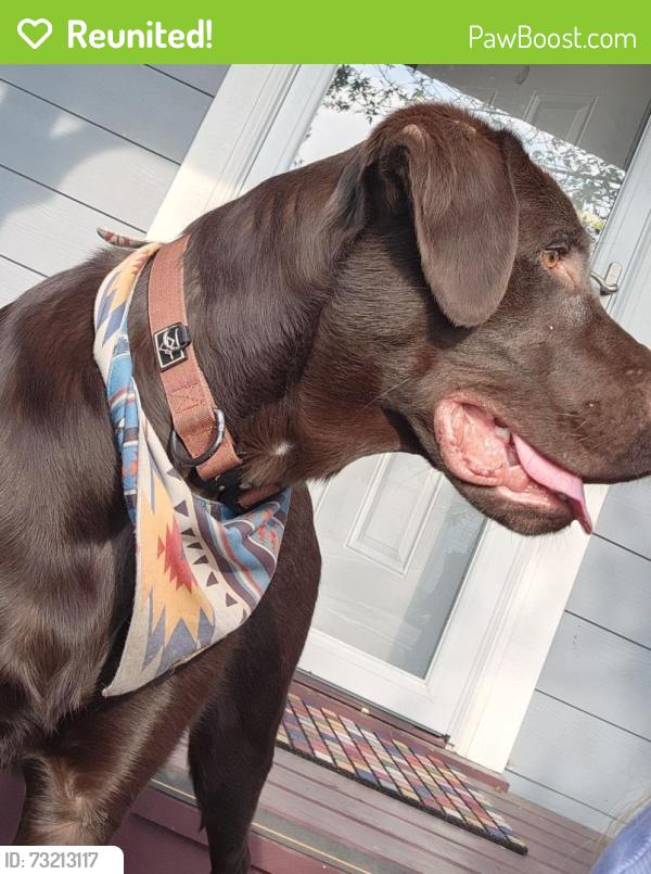 Reunited Male Dog last seen Sonoma St and Bordeaux Blvd (Canyon Creek), Missoula, MT 59808